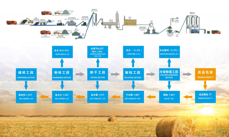 半岛体育宣传册_13 - 副本.png